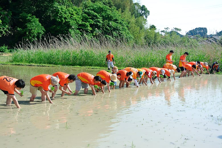 Trồng lúa cùng trẻ em làng trẻ Kikugawa